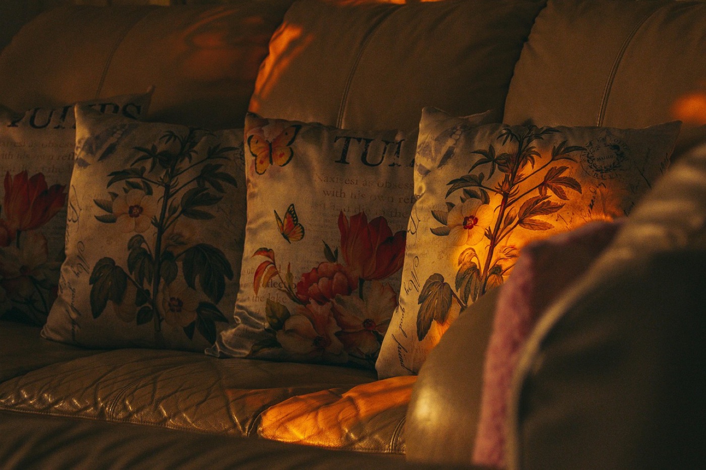 A sofa cushion seen from the side, the compressed face and the full face of the same cushion visible in profile.